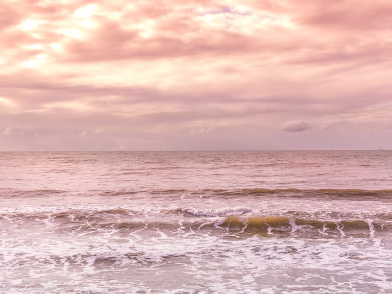 OCEANO MAGENTA