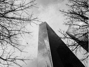 CENAS DE NOVA YORK - WORLD TRADE CENTER ENTRE ÁRVORES PRETO E BRANCO