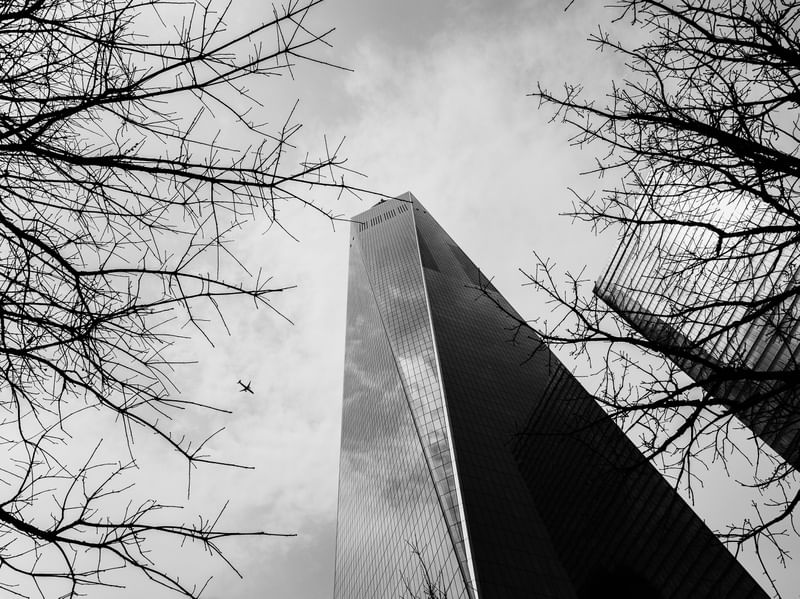 CENAS DE NOVA YORK - WORLD TRADE CENTER ENTRE ÁRVORES PRETO E BRANCO