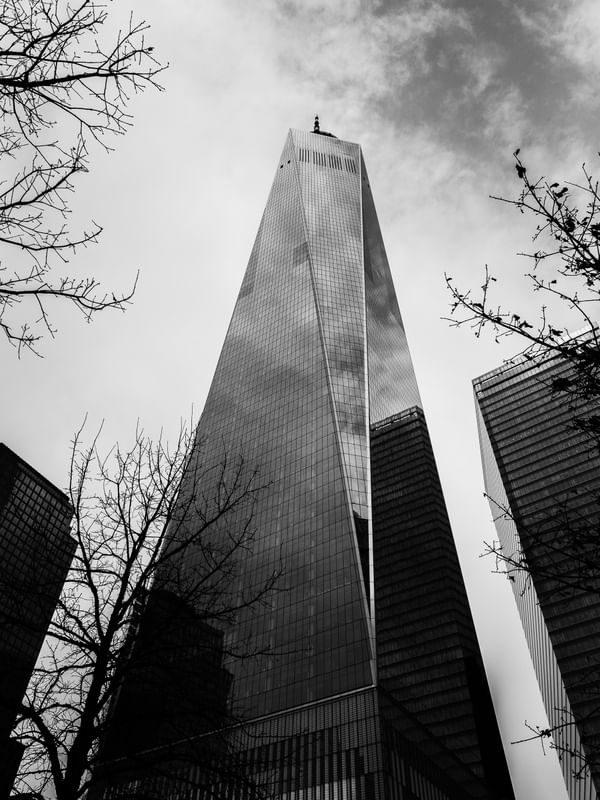 CENAS DE NOVA YORK - WORLD TRADE CENTER ENTRE ÁRVORES P&B