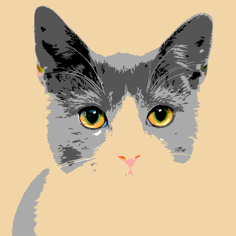 MEOW I.C