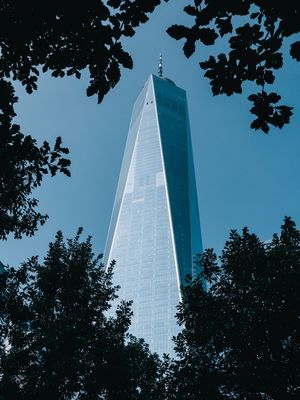 ONE WORLD TRADE CENTER - TREES