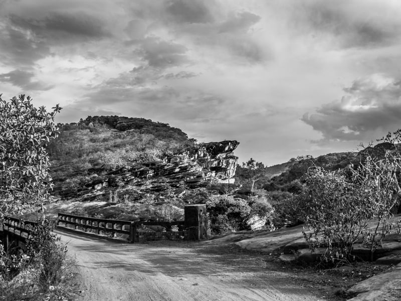 PONTE CAIPIRA PB