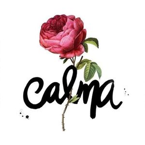 VAI COM CALMA