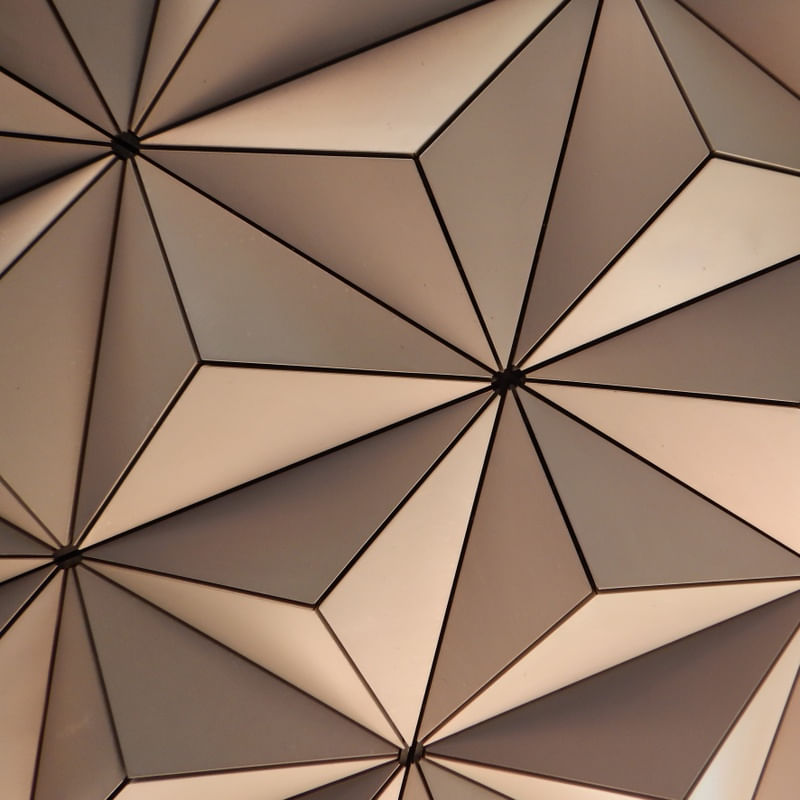 DOWN EPCOT