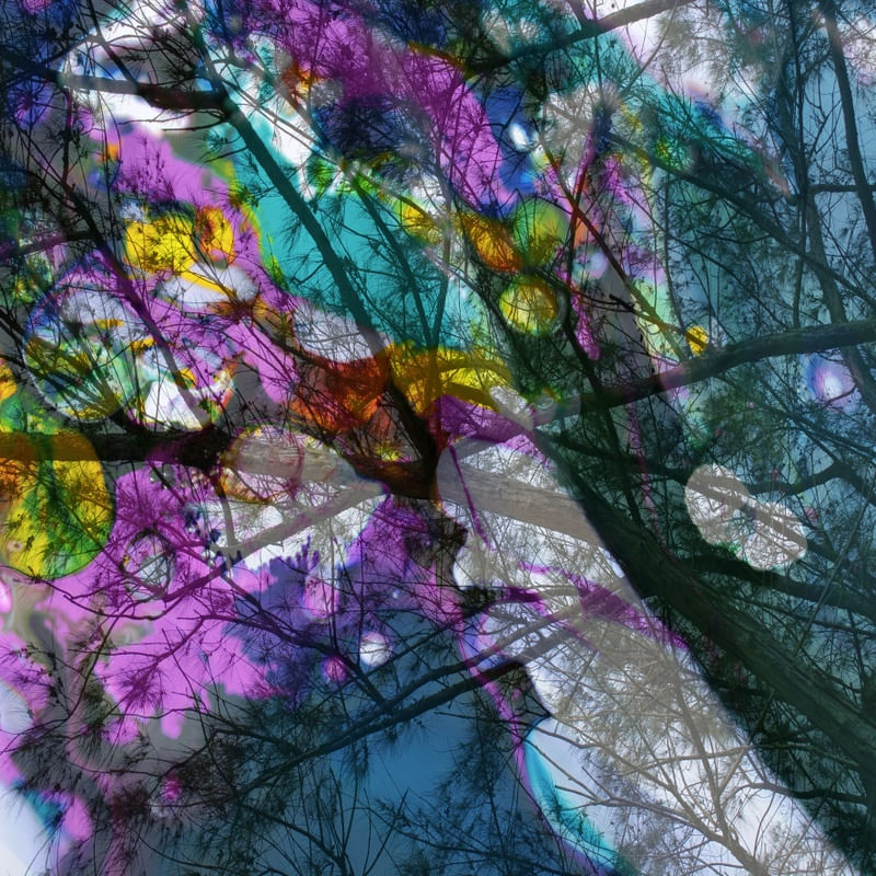 NATUREZA COM ARTE 03 ARTISTA GLORIA RIMES