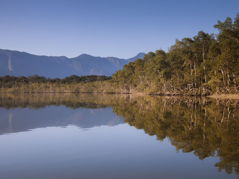 RIVER SCAPE