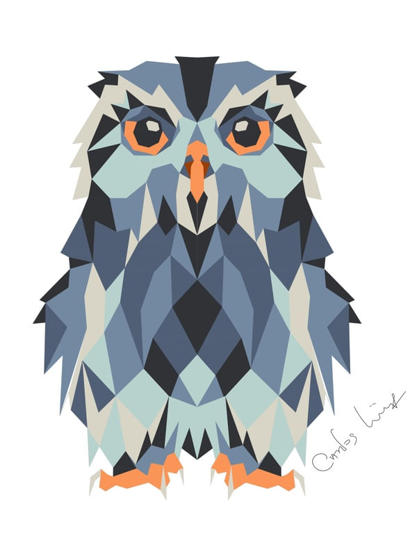 GEOMETRIC OWL