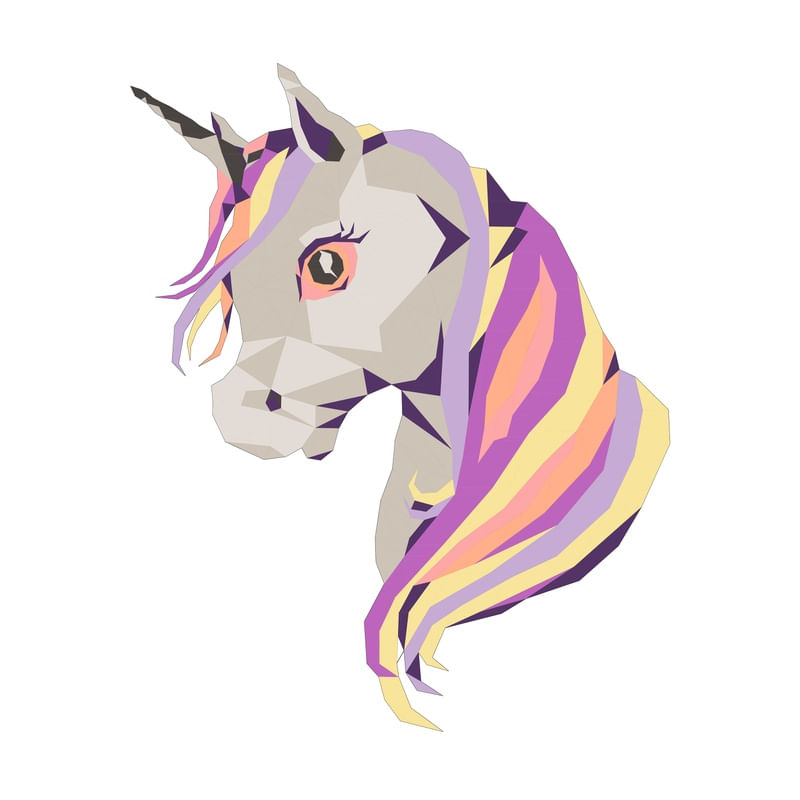 GEOMETRIC UNICORN