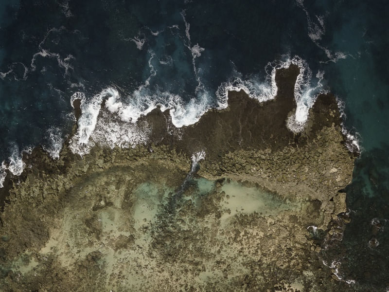 REEF AND WATER HAWAII