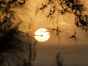 HAWAIAN SUNSET