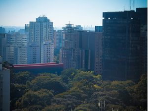 VERDE NA METRÓPOLE PAULISTANA