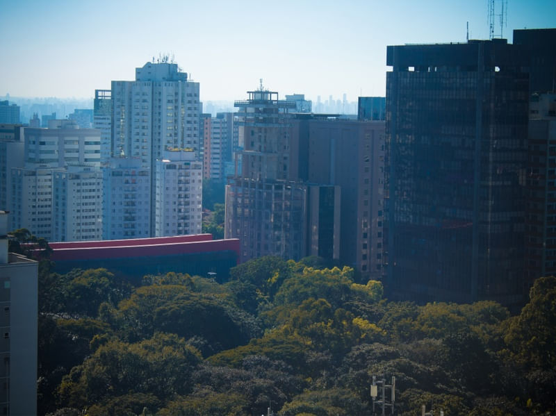 VERDE NA METRÓPOLE PAULISTANA