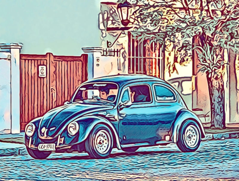 FUSCA AZUL 01