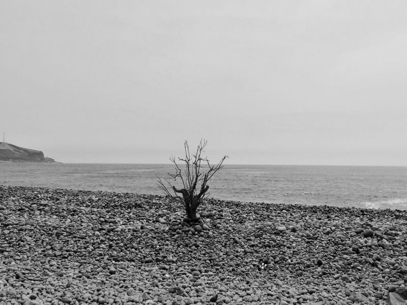 PRAIA DO OCEANO PACÍFICO