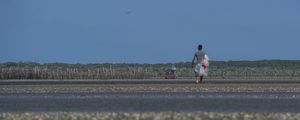 O CAMINHO DO PESCADOR