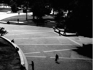 SP NOIR