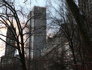 NY CENTRAL PARK 01