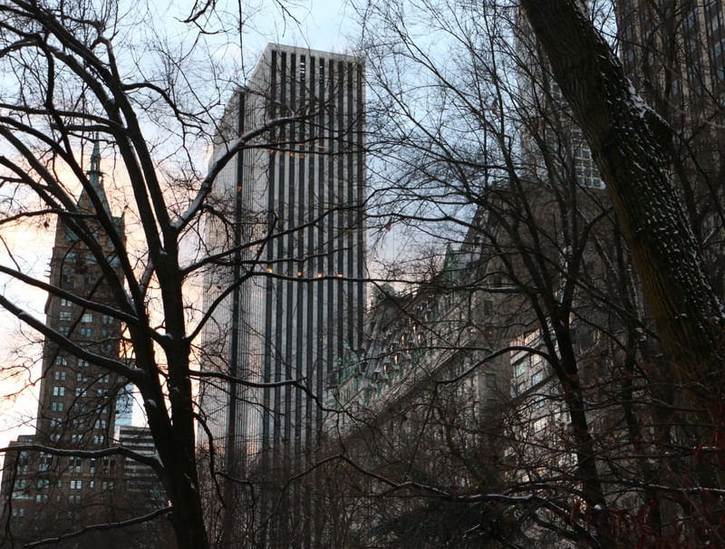 NY CENTRAL PARK 01