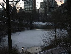 NY CENTRAL PARK 02