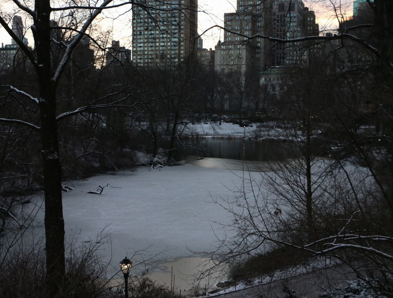 NY CENTRAL PARK 02