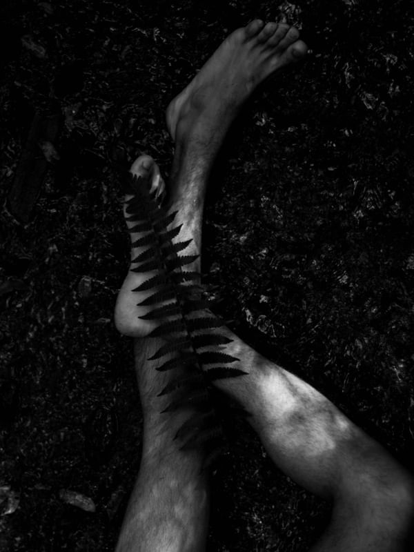 FEET ON THE GROUND