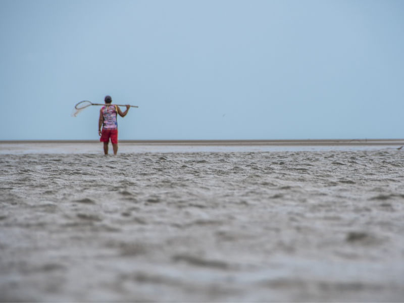 PESCADOR DE SIRI