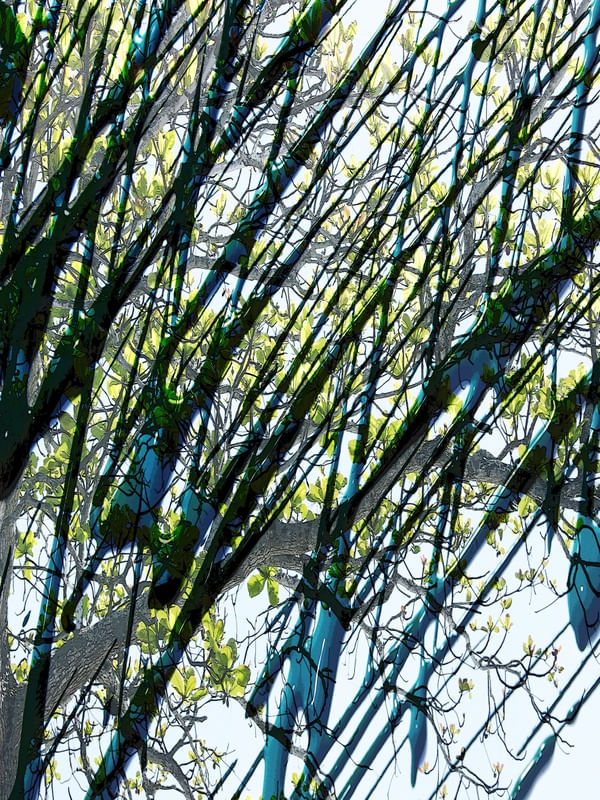 NATUREZA COM ARTE 06 ARTISTA GLORIA RIMES