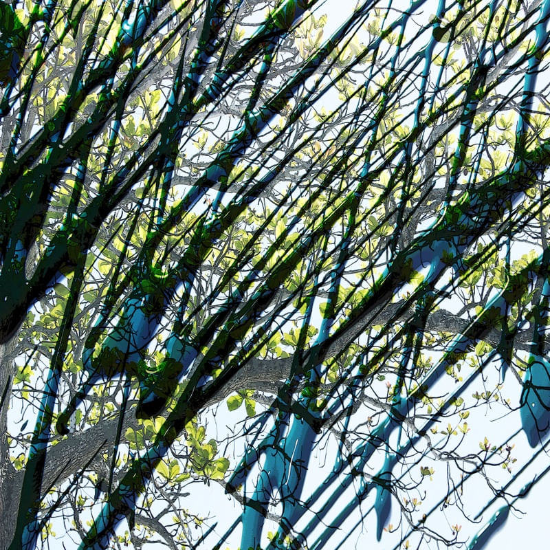 NATUREZA COM ARTE 07 ARTISTA GLORIA RIMES