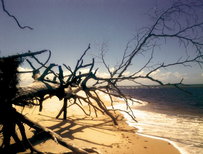 OCEAN 4