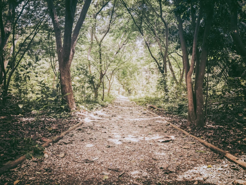 CAMINHO DE CERTEZAS