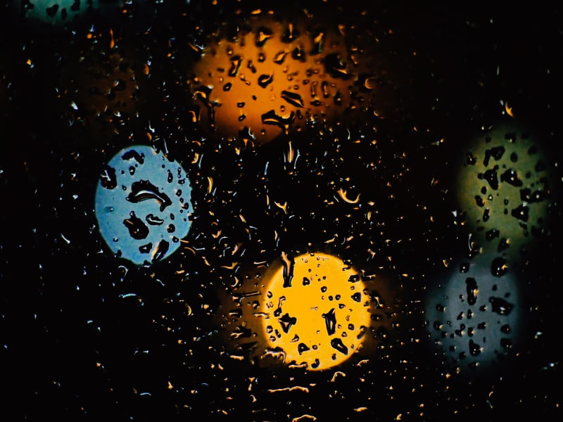 BIG CITY LIGHTS FILM