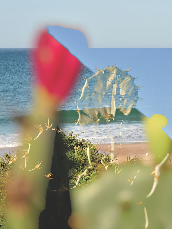 RETRATO ITACOATIARA