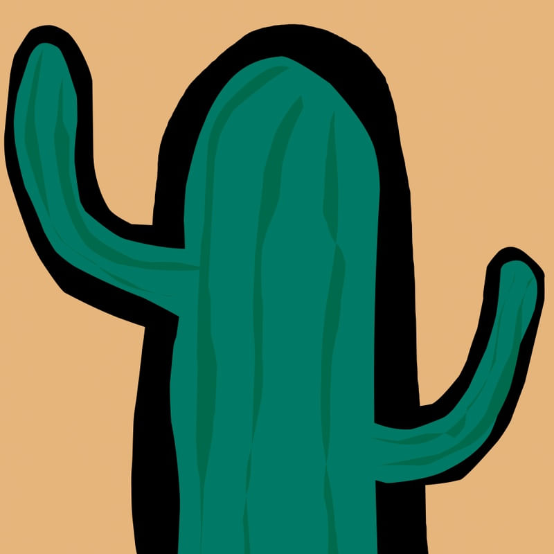 CACTUS MINI 2