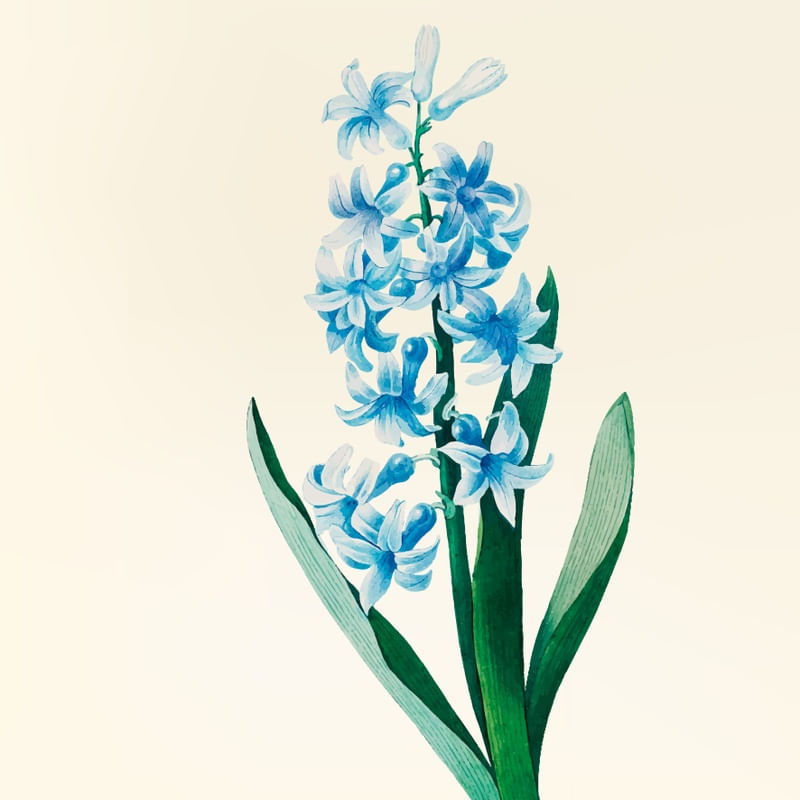 MINI FLORES AZUIS