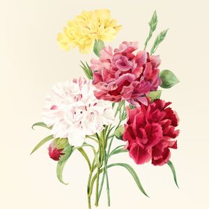 BUQUÊ DE LINDAS FLORES COLORIDAS