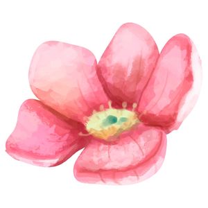 FLOR EM TONS DE PINK