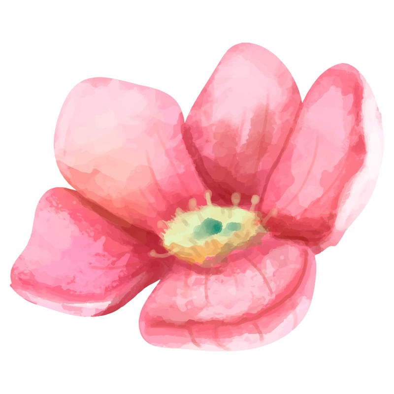 FLOR EM TONS DE PINK