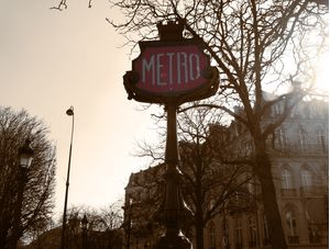 PARIS - ÁRVORE VI