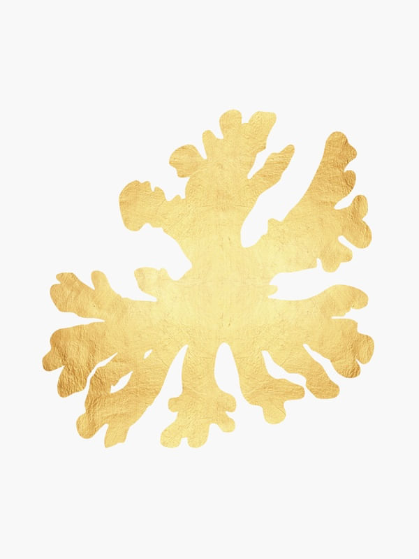 CORAL DOURADO