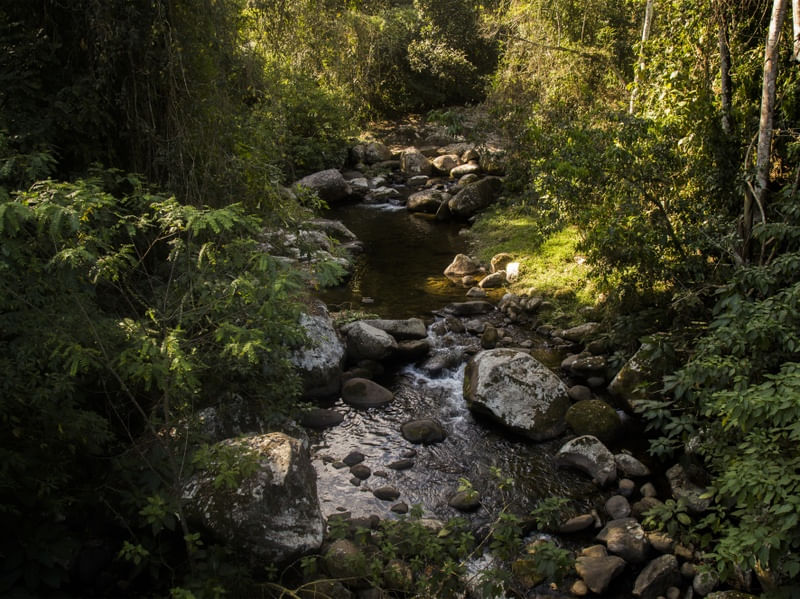 CAMINHOS DA SERRA