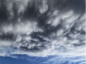 MAMMATUS
