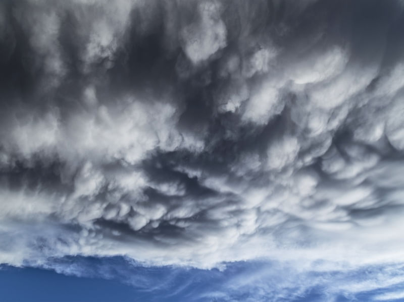 MAMMATUS
