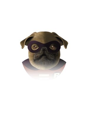 ROBIN DOG