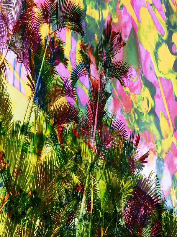 NATUREZA COM ARTE 15 ARTISTA GLORIA RIMES