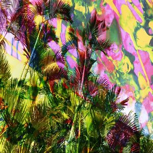 NATUREZA COM ARTE 16 ARTISTA GLORIA RIMES
