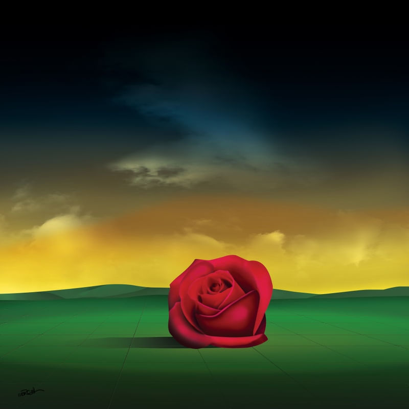 ROSA NO CHÃO.
