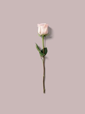 ROSEVMINIMALISTA