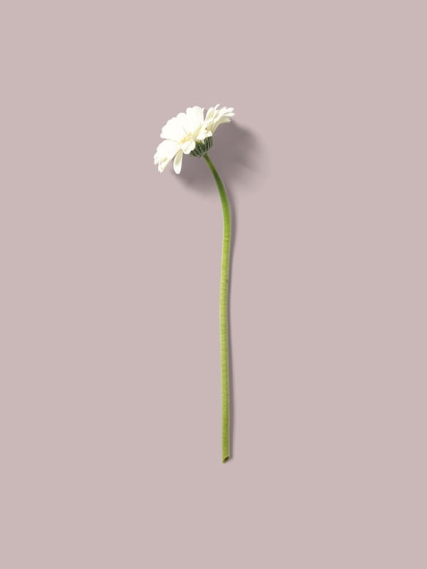 FLORMINIMALISTA