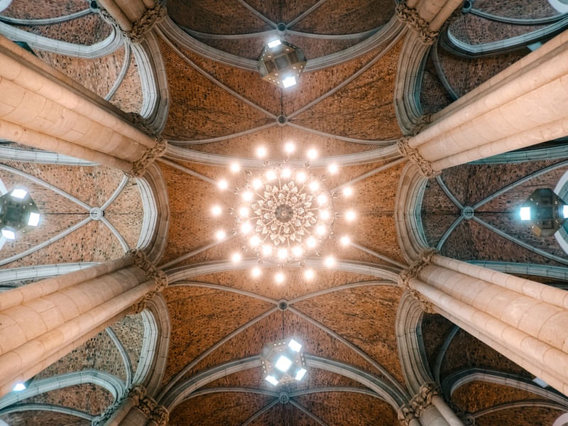 LINHAS DA CATEDRAL